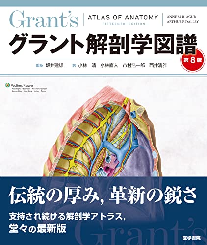 口腔解剖学 Amazon.co.jp: 口腔解剖学 - 基礎歯科学: 本